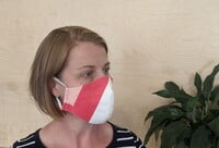 Large Re-usable 3-Layer Face Mask (pack of 1) Stripe Large Re-usable 3-Layer Face Mask (pack of 1) Stripe